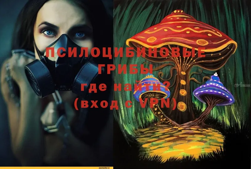 Галлюциногенные грибы MAGIC MUSHROOMS  сколько стоит  Октябрьский 